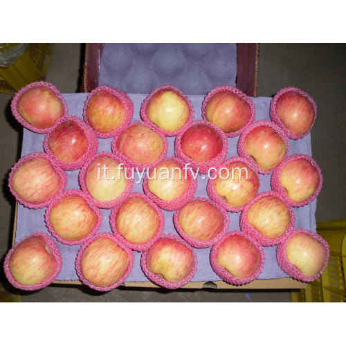 Fresh Good Qulality Fuji apple